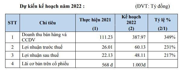 Xây dựng và Giao thông Bình Dương (BCE): Đặt kế hoạch tăng trưởng mạnh trong năm 2022, dự kiến tăng vốn lên gấp đôi ảnh 1