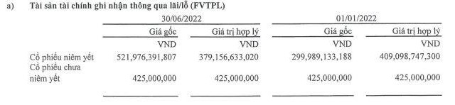 Chứng khoán APG (APG): Lỗ 76,95 tỷ đồng trong quý II/2022 do hoạt động tự doanh ảnh 2