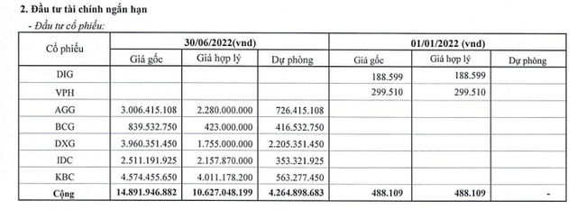 DIC Holdings (DC4): Mang tiền đầu tư cổ phiếu dẫn tới lỗ 3,65 tỷ đồng trong quý II/2022 ảnh 2