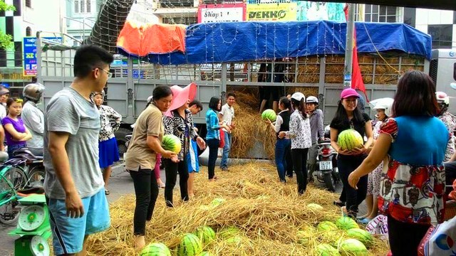 Doanh nghiệp nhà hàng Xứ Cẩm chung tay giải cứu dưa hấu: Trắng đêm giải cứu dưa hấu Hắc Mỹ Nhân ảnh 3