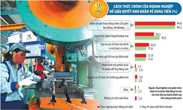 Phục hồi nền kinh tế: Các lựa chọn chính sách nào cho Việt Nam? (Bài 1) ảnh 1