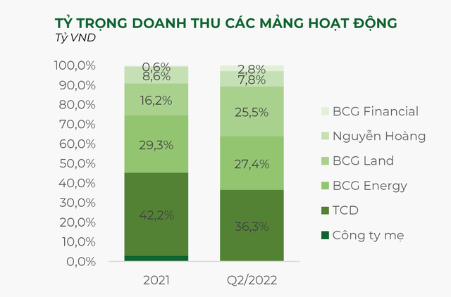 Bamboo Capital (BCG): IPO BCG Land trong quý III, điểm rơi lợi nhuận bất động sản vào nửa cuối năm ảnh 1