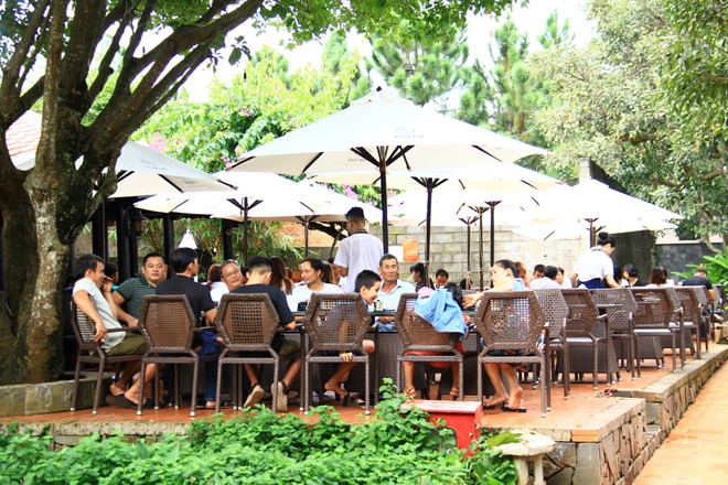 Một ngày với Buôn Ma Thuột ảnh 7