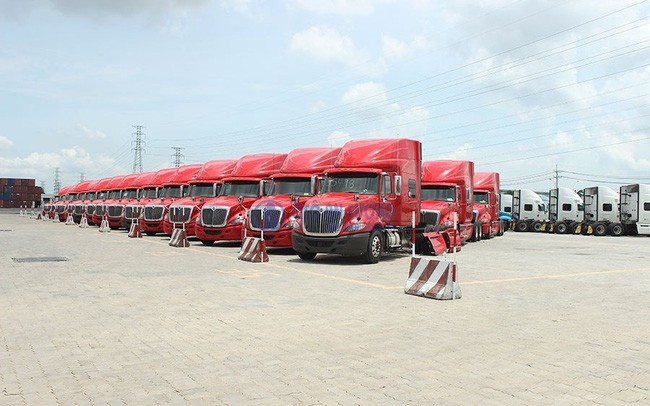 Dịch vụ Hoàng Huy (HHS) dự kiến phát hành gần 33 triệu cổ phiếu trả cổ tức, tỷ lệ 12%