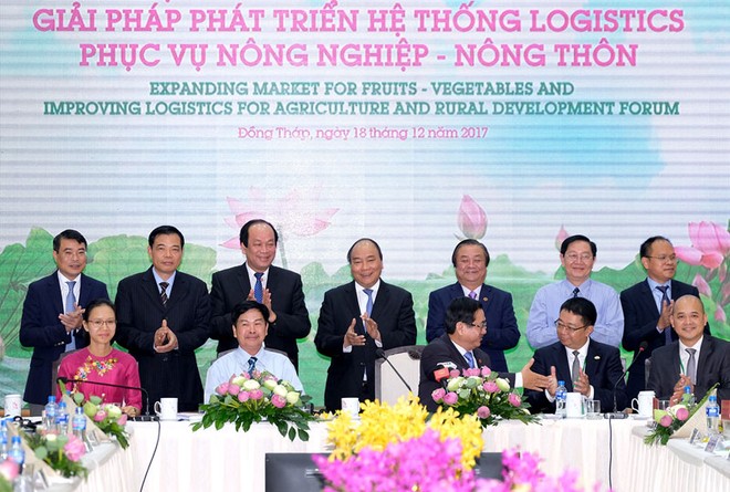 Thủ tướng nhấn mạnh việc cải thiện logistics để phát triển ngành rau củ quả ảnh 1