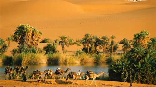 Những điều kỳ lạ từng xảy ra trên sa mạc Sahara ảnh 1