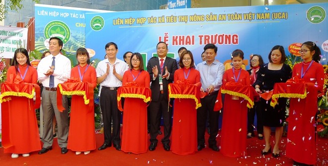 Ra mắt Trung tâm Hỗ trợ phát triển hợp tác xã Việt Nam ảnh 1