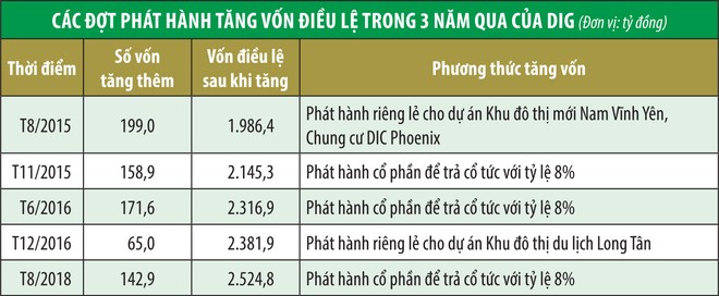 Tổng CTCP Đầu tư phát triển xây dựng (DIG) gọi vốn giá 13.000 đồng/cổ phiếu, khả thi không? ảnh 1