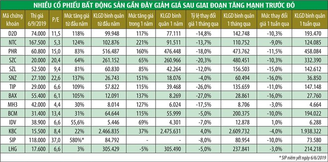 Cổ phiếu bất động sản khu công nghiệp: Liệu có lung lay đà tăng? ảnh 1