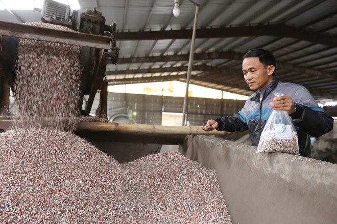 Doanh nghiệp phân bón chờ gỡ khó về thuế