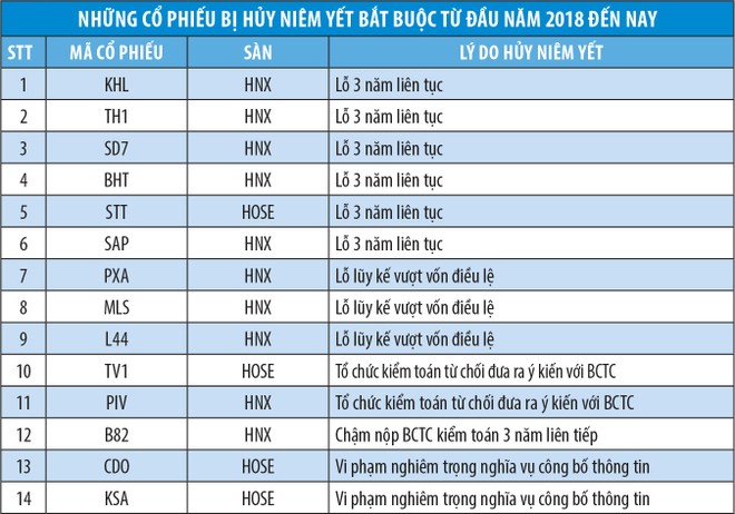 Cuộc đào thải những cổ phiếu kém chất lượng ảnh 2