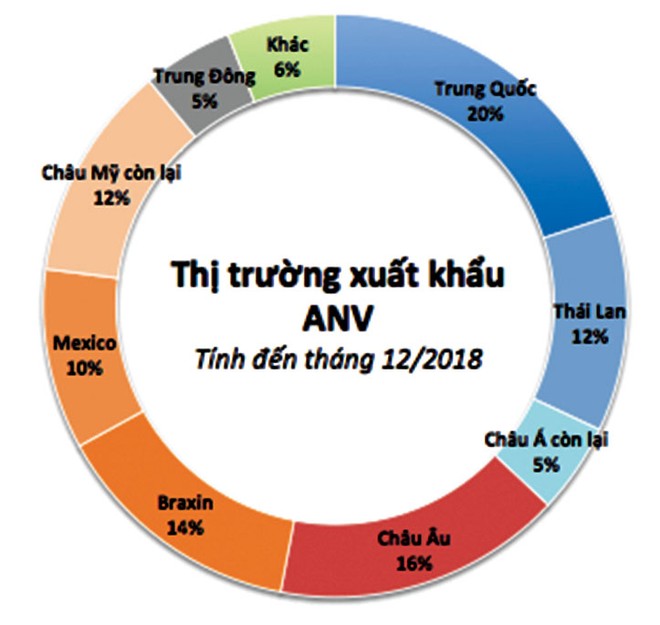 Nam Việt “hồi sinh” mạnh mẽ, mục tiêu xuất khẩu đa thị trường ảnh 1