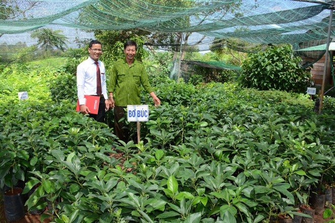 Agribank: Nối dài những hành động thiết thực vì cộng đồng ảnh 2