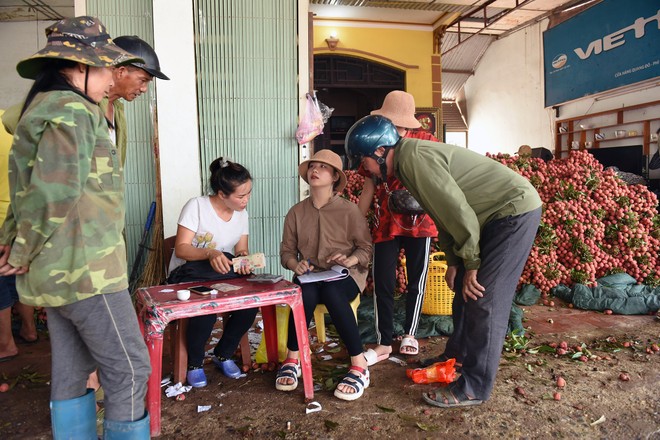 Lần đầu tiên, 600 tấn vải thiều Bắc Giang xuất khẩu thành công sang Nhật Bản ảnh 3