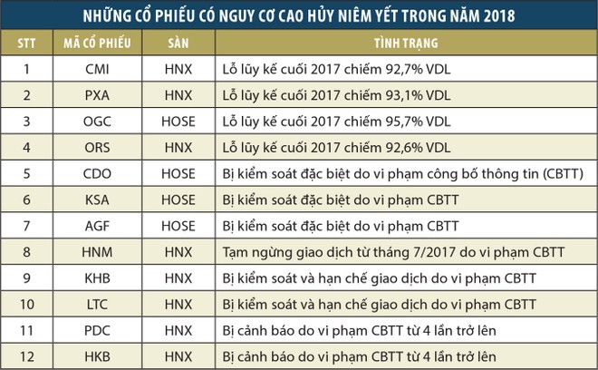 Những cổ phiếu có nguy cơ sớm huỷ niêm yết ảnh 2