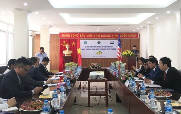 Sau nhiều năm trái xoài của Việt Nam đã có trong tay tấm “Giấy thông hành” để chinh phục thị trường Hoa Kỳ.