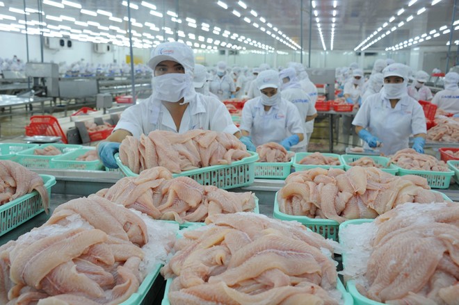Trung Quốc chỉ nhập chính ngạch 8 loại nông sản Việt ảnh 2