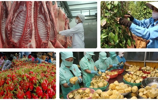 Dịch tả lợn châu Phi, biến đổi khí hậu, nhất là tình trạng xâm nhập mặn ở ĐBSCL, hạn hán một số nơi ở các tỉnh Tây Nguyên... là những khó khăn thách thức lớn đối với ngành nông nghiệp 2019.