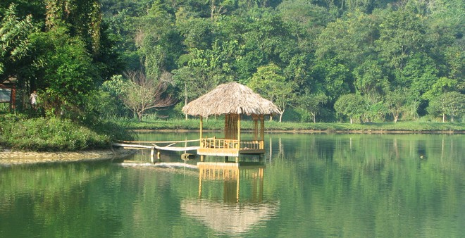 Alt value for image 89