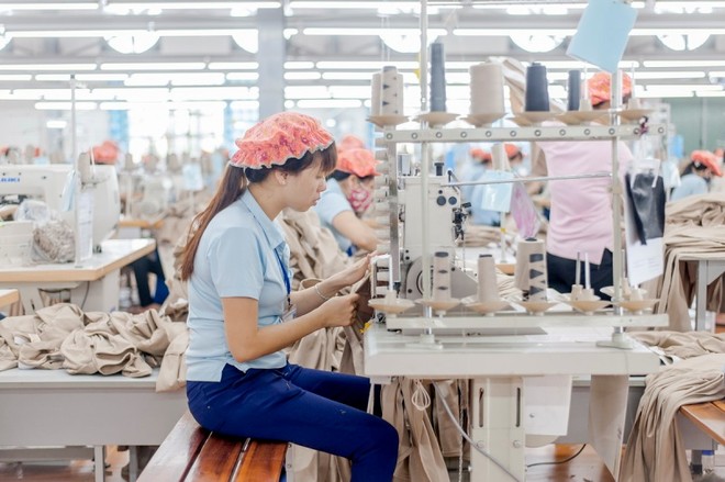 Vitas cho rằng, thời điểm tăng tuổi nghỉ hưu khi Việt Nam kết thúc thời kỳ “cơ cấu dân số vàng", và các cơ quan Nhà nước khu vực HCSN đã tiến hành tinh giản bộ máy đến mức hợp lý.