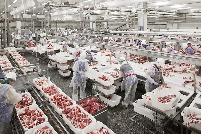 Tạo điều kiện để thịt lợn Nga vào thị trường Việt Nam ảnh 1