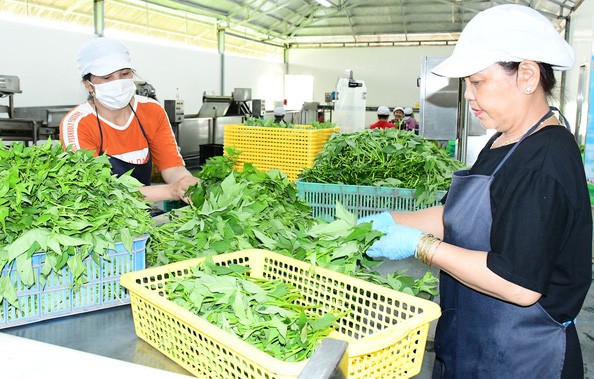 Bình Dương dừng thanh tra Vinamit ảnh 2