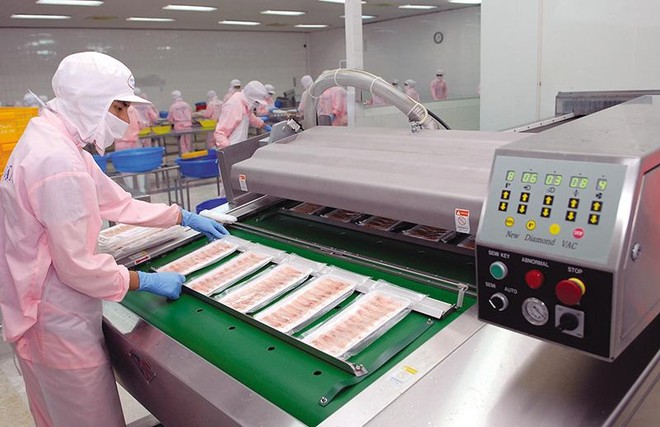 Các doanh nghiệp thủy sản tiếp tục kiến nghị thay đổi quy định về ngưỡng chỉ tiêu phospho trong nước thải chế biến thủy sản. Ảnh: Chí Cường