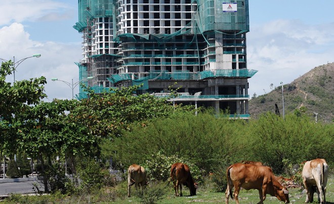 Doanh nghiệp địa ốc “tủi thân”