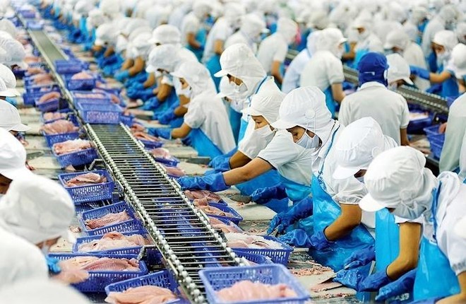 Vĩnh Hoàn (VHC) tăng vốn góp vào Thức ăn thủy sản Feed One lên 195 tỷ đồng