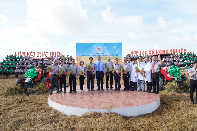Tập đoàn Lộc Trời phối hợp với tỉnh An Giang xây dựng chuỗi liên kết hợp tác xã nông nghiệp kiểu mới