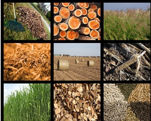 Các phụ phẩm nông nghiệp sẽ là nguyên liệu đầu vào của công nghệ xử lý rác.