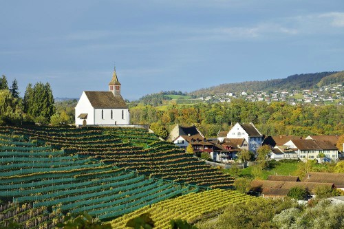 Một góc làng Rheinau tại Thụy Sỹ. Ảnh: AFP.