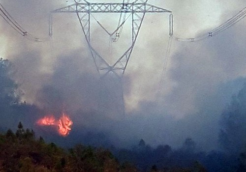 Cháy rừng ở miền Trung, nhiều nơi phải cắt điện ảnh 1