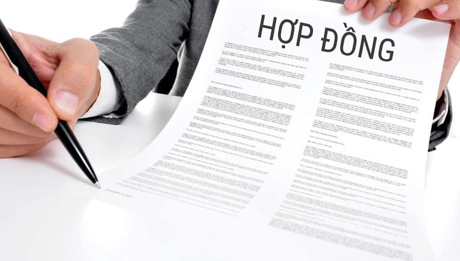 Rắc rối chuyện dùng bản chào bảo hiểm thay thế hợp đồng