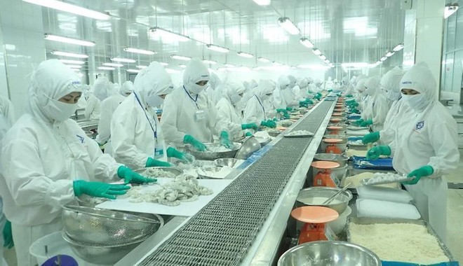 Thực phẩm Sao Ta (FMC): Doanh số tháng 11/2021 tăng 14% lên 20,3 triệu USD