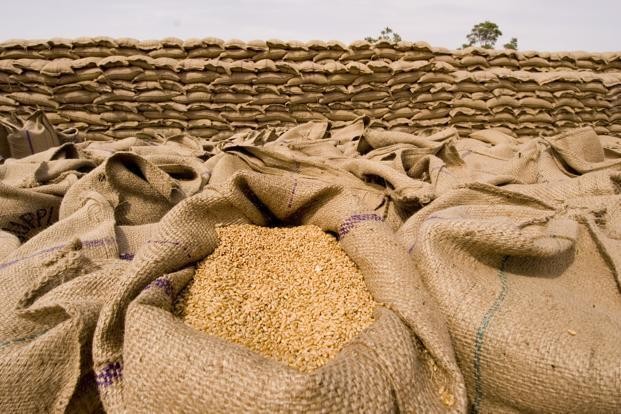 Mỹ, châu Âu chạy đua để cải thiện chuỗi cung ứng thực phẩm sau khi Ấn Độ cấm xuất khẩu lúa mì