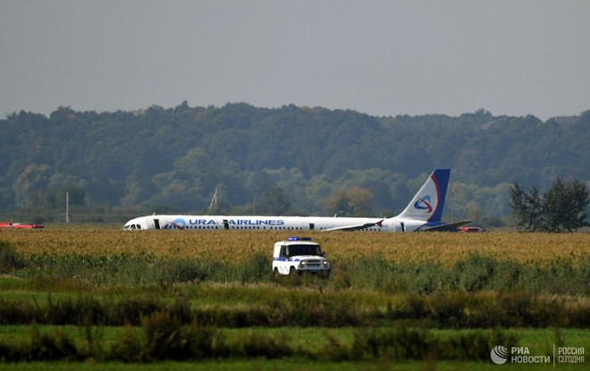Chiếc máy bay Airbus A321 hạ cánh xuống cánh đồng ngô