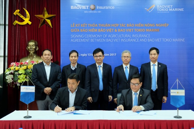 Bảo hiểm Bảo Việt và BaoViet Tokio Marine hợp tác triển khai bảo hiểm nông nghiệp