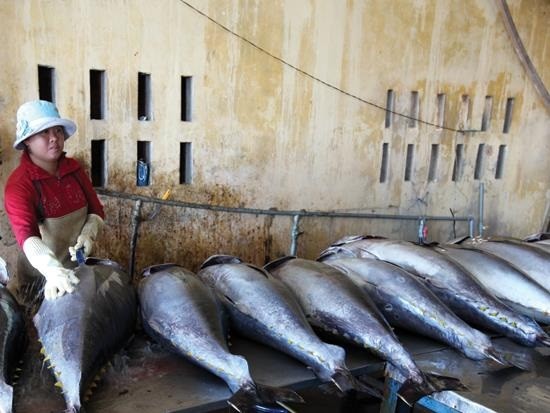Việc áp dụng những phương pháp kỹ thuật tiên tiến trong quản lý chất lượng thủy sản sẽ làm tăng giá trị cho các sản phẩm thuỷ hải sản Việt Nam nói chung, sản phẩm cá ngừ đại dương nói riêng