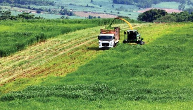 Doanh nghiệp đầu tư vào nông nghiệp, nông thôn sẽ được hưởng nhiều chính sách khuyến khích