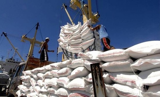 Tính đến ngày 15/7/2020, cả nước có 192 thương nhân kinh doanh xuất khẩu gạo