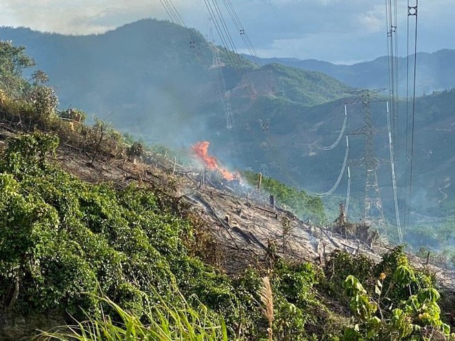 Cháy rừng gây sự cố nghiêm trọng đường dây 500kV Dốc Sỏi – Pleiku 2