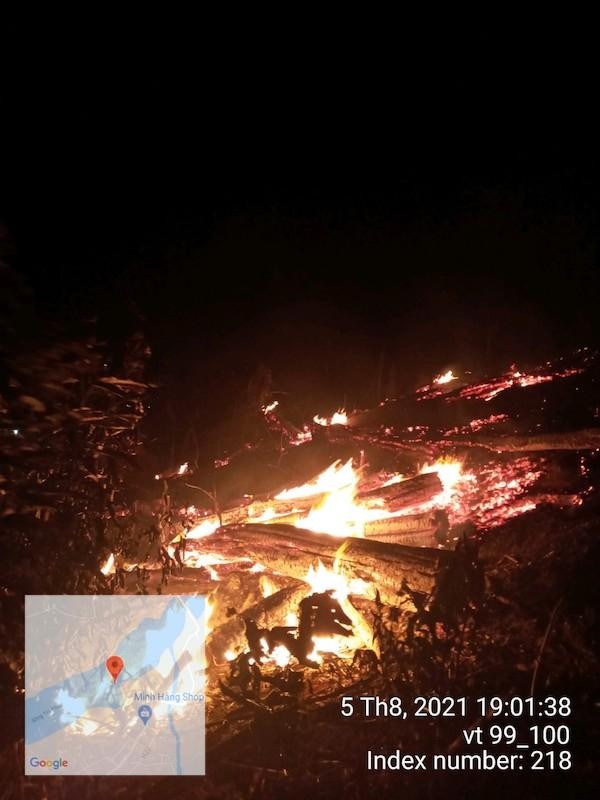 Cháy rừng gây sự cố nghiêm trọng đường dây 500kV Dốc Sỏi – Pleiku 2 ảnh 1