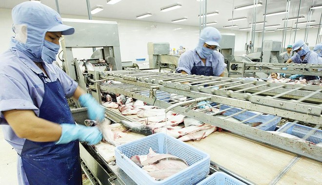 Thủy sản của Việt Nam vẫn đều đặn xuất đi Nhật. Trong ảnh: Chế biến cá basa tại Caseamex Cần Thơ Ảnh: ĐT