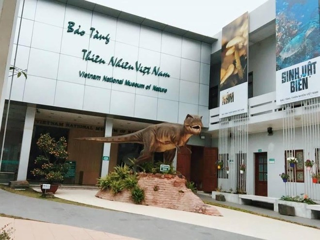 Hà Nội: Xây dựng Bảo tàng Thiên nhiên Việt Nam tầm cỡ khu vực và thế giới