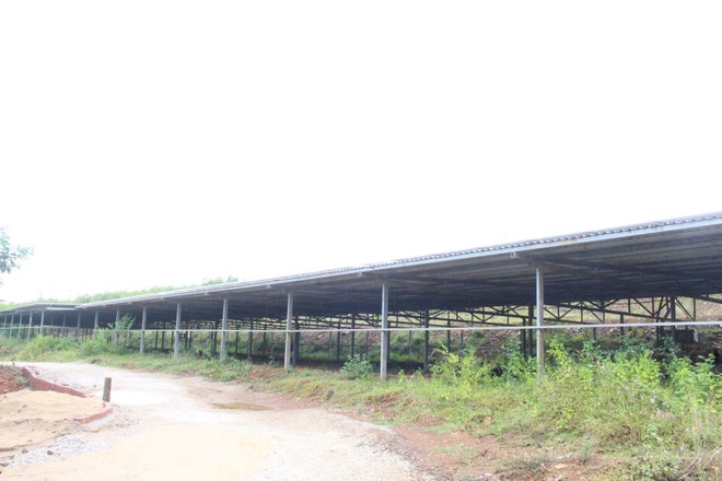 Quảng Nam yêu cầu kiểm tra dự án điện mặt trời núp bóng trang trại ảnh 1