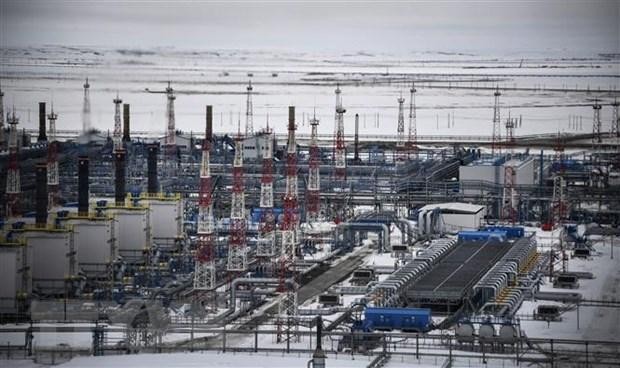 Một cơ sở khai thác dầu ở bán đảo Yamal thuộc vùng Tây Bắc Siberia của Nga. (Ảnh: AFP/TTXVN)