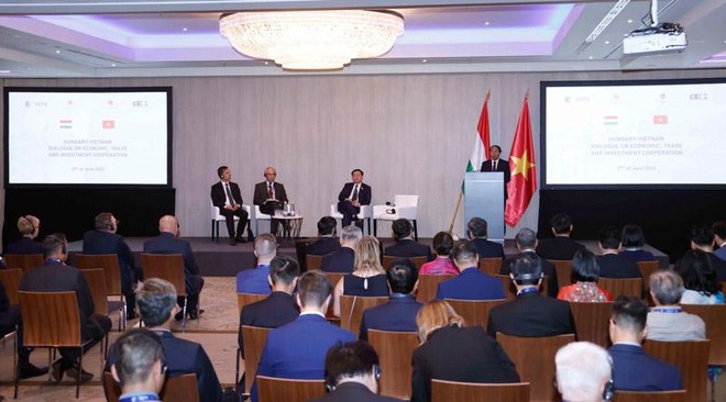 Gần 100 doanh nghiệp Hungary và Việt Nam đã tham dự toạ đàm - (Ảnh: DT).