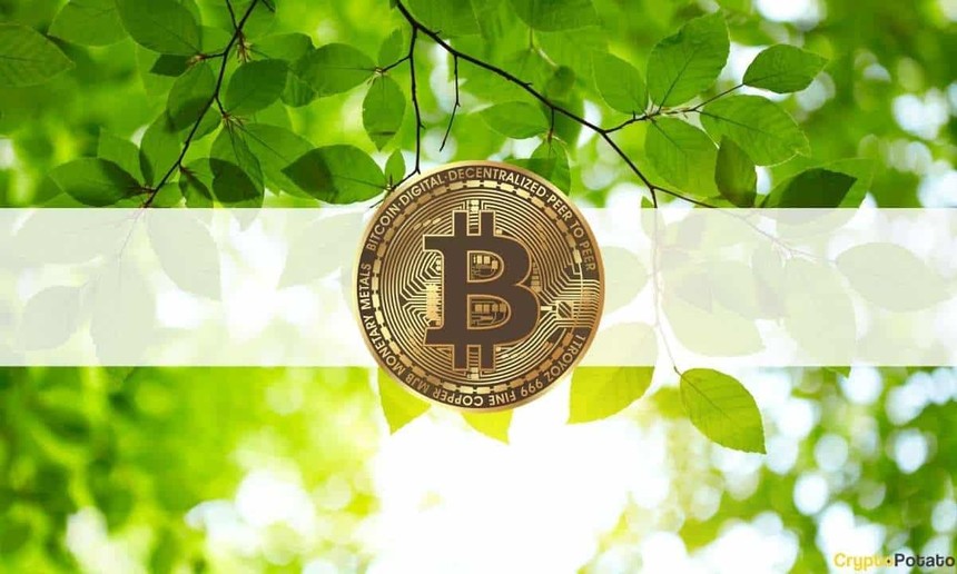 Giá Bitcoin hôm nay ngày 25/6: Nhận trợ lực mới, giá Bitcoin hồi phục lên trên 35.000 USD