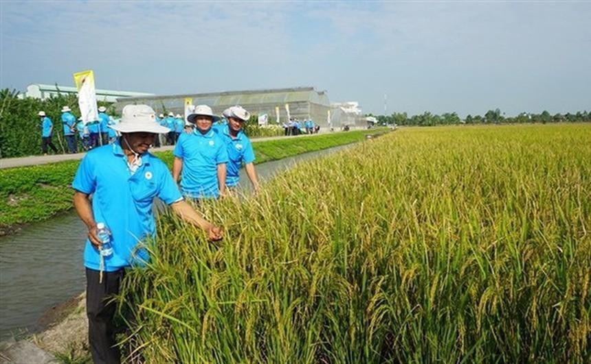Lộc Trời (LTG): 6 tháng đầu năm lợi nhuận tăng 101,7% lên 229,1 tỷ đồng
